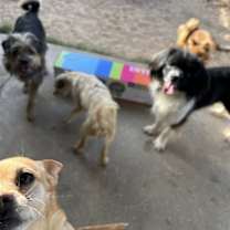 Thumbnail photo of Minnie #4