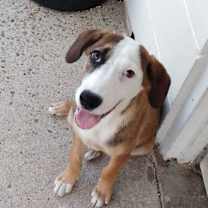 Thumbnail photo of Cabela nka Belle #3