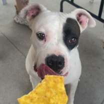 Thumbnail photo of Nate #4