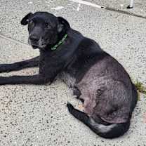 Thumbnail photo of Sally 3 #2