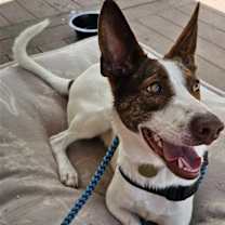 Thumbnail photo of Gabriel #4