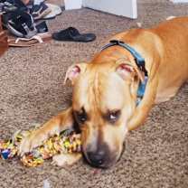 Thumbnail photo of Marco #1