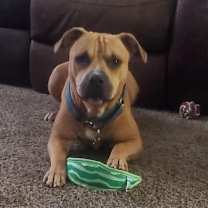 Thumbnail photo of Marco #2