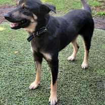 Thumbnail photo of Mario #4