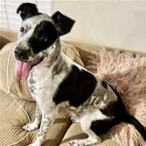 Thumbnail photo of Riley-Mae #1