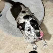 Thumbnail photo of Riley-Mae #2