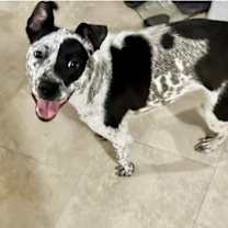 Thumbnail photo of Riley-Mae #3