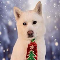 Thumbnail photo of Marsh #4