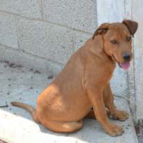Thumbnail photo of Carmelo #2