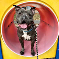 Thumbnail photo of Brady #1