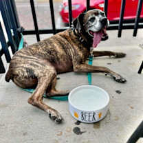 Thumbnail photo of Harlan #3