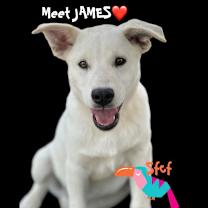 Thumbnail photo of James #3