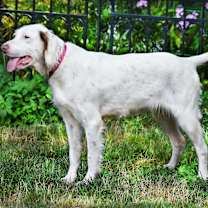 Thumbnail photo of Libby- Michigan #2