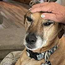 Thumbnail photo of OTTO #3