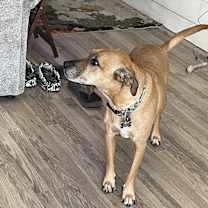 Thumbnail photo of OTTO #4