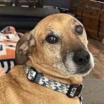 Thumbnail photo of OTTO #2