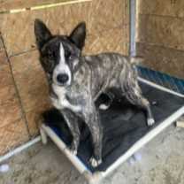 Thumbnail photo of Jonathan #1