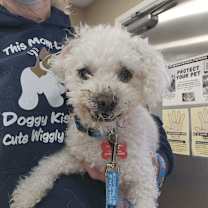 Thumbnail photo of Buster #2