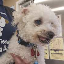 Thumbnail photo of Buster #3