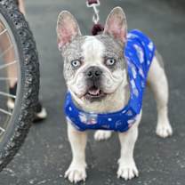 Thumbnail photo of Duncan #1