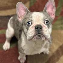 Thumbnail photo of Duncan #3