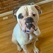 Thumbnail photo of RUFIO (COURTESY POST) #1