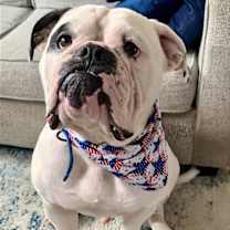 Thumbnail photo of RUFIO (COURTESY POST) #2