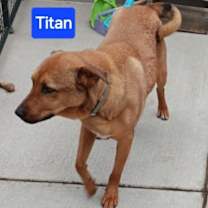 Thumbnail photo of Titan #3