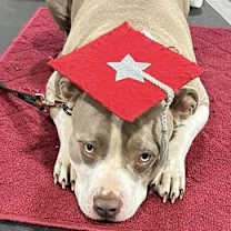 Thumbnail photo of Tito #4