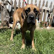 Thumbnail photo of Heidi #2