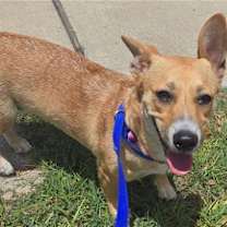 Thumbnail photo of Maddie #1