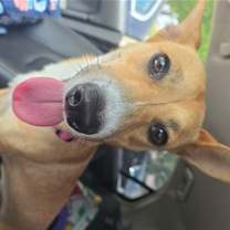 Thumbnail photo of Maddie #2