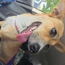 Thumbnail photo of Maddie #3