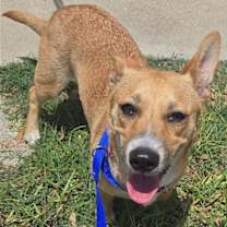 Thumbnail photo of Maddie #4