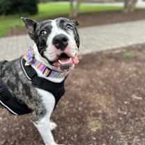 Thumbnail photo of Kiki #2