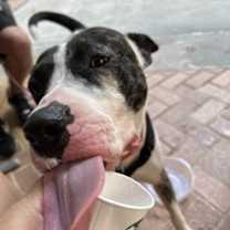 Thumbnail photo of Kiki #3