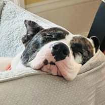 Thumbnail photo of Kiki #4