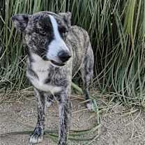 Thumbnail photo of Jonathan #2