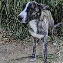 Thumbnail photo of Jonathan #3