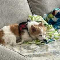 Thumbnail photo of Stewart #2