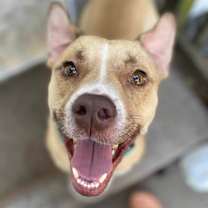 Thumbnail photo of Sam #2