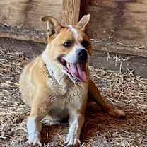 Thumbnail photo of Caleb #4