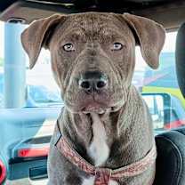 Thumbnail photo of Calypso #1