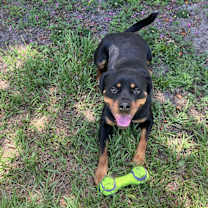 Thumbnail photo of Poe #3