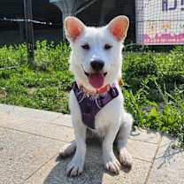 Thumbnail photo of Sam Yong #2