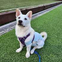 Thumbnail photo of Sam Yong #3