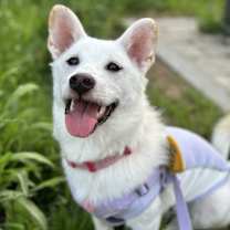 Thumbnail photo of Sam Yong #4