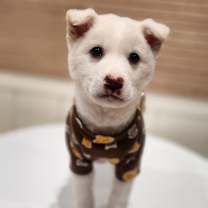 Thumbnail photo of Mimi #2