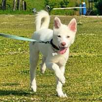 Thumbnail photo of Mocchi #3