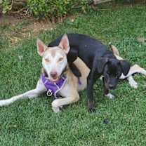 Thumbnail photo of Ginna #1